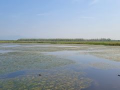 -野鸭湖国家湿地公园