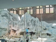 -帝企鹅自助餐厅•儿童岛•真企鹅(长隆企鹅酒店)