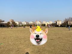 -杭州城北体育公园