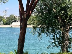 -水上乐园·欢乐世界