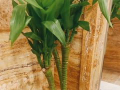 -益健·足疗汗蒸SPA(芙蓉广场店)