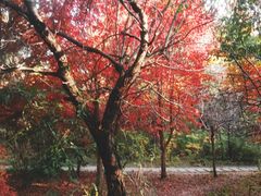 -长春市南湖公园