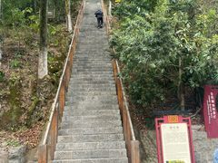 -云碧峰国家森林公园