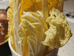 大白菜-京韵胡同·酱香羊蝎子火锅涮肉(长寿路店)