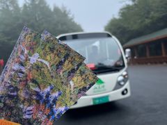 -山王坪喀斯特国家生态公园