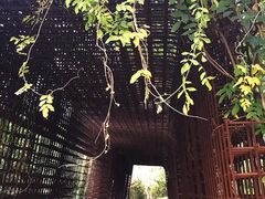 -武汉园博园(武汉自然博物馆)