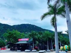 -100蛋泥浆浴
