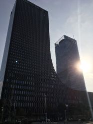 -苏州希尔顿酒店-宴会厅