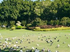 -白鹭洲公园