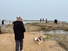 -日照灯塔风景区