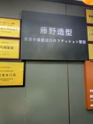 -藤野造型