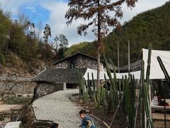 -MOJ coffee(瓯海泽雅水碓坑店)