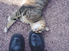 -苏州河梦清园环保主题公园