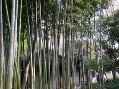 -秋霞圃
