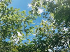 -石台牯牛降景区