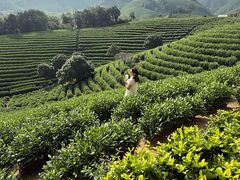 -帐篷客·溪龙茶谷度假酒店