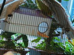 -草原塞蛮羊火锅城(港湾店)