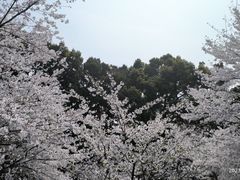 -南山植物园