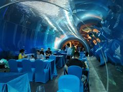 -海棠湾洲际-涛·海底餐厅·美人鱼·自助餐·海底隧道