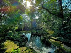 -中国茶叶博物馆(双峰馆区)