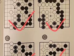 -智韵素养黎明练字(莘庄校区)