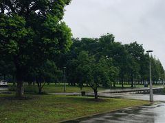 -尚贤河湿地