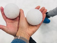 -Mr·Kuma酷么先生雪之乐园