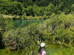 -九寨沟-树正沟