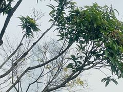 -鸿山公园