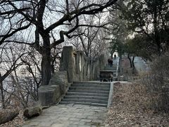 -高尔山公园