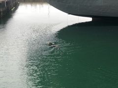 -中途岛号航空母舰博物馆
