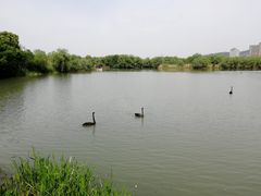 -长兴太湖图影湿地文化园