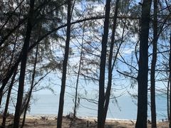 -东郊椰林