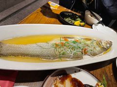 -金枝玉叶上海人家食府(三里河店)