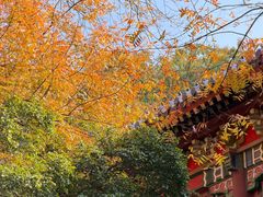 -灵谷景区