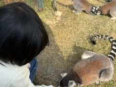 -无锡动物园·太湖欢乐园