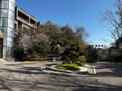 -羊山湖公园
