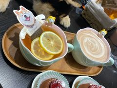 -逗柴咖啡屋·狗咖猫咖宠物桌游
