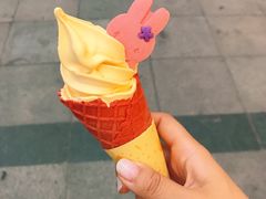 -麦当劳(石家庄北国店)