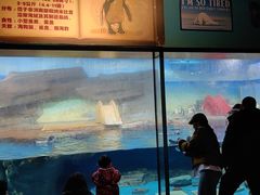 -海合安武汉极地海洋公园