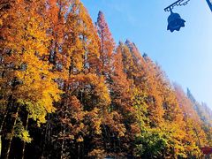 -杭州西湖风景名胜区-满觉陇四眼井