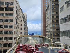 -Big Bus Tours 敞篷观光巴士