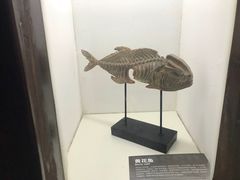 -重庆欢乐海底世界