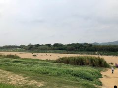 -传说中那条蛋散