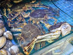 -震海贝烤贝·民俗特色店(延吉总店)