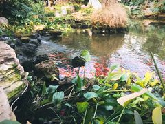 -南通洲际绿博园