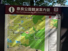 -奈良公园