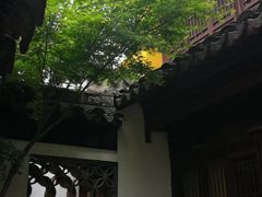 -司徒庙
