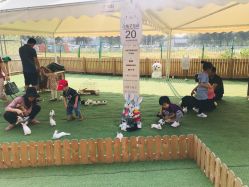 -萌宠亲子动物乐园(槐房万达店)