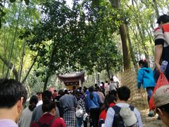 -灵岩山风景区